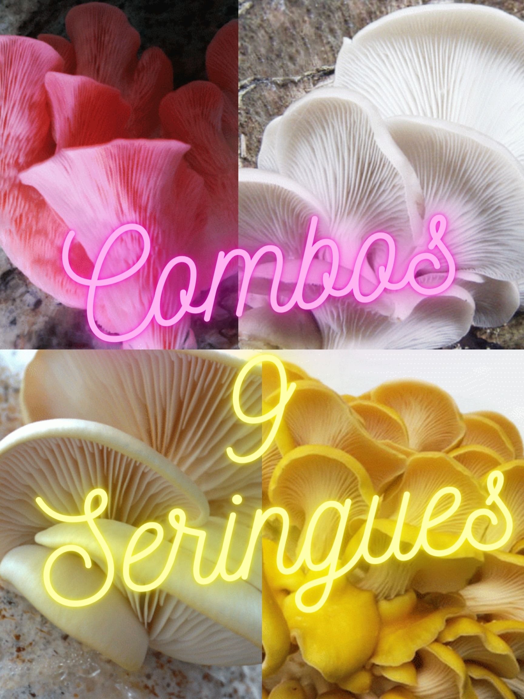 9 seringues
